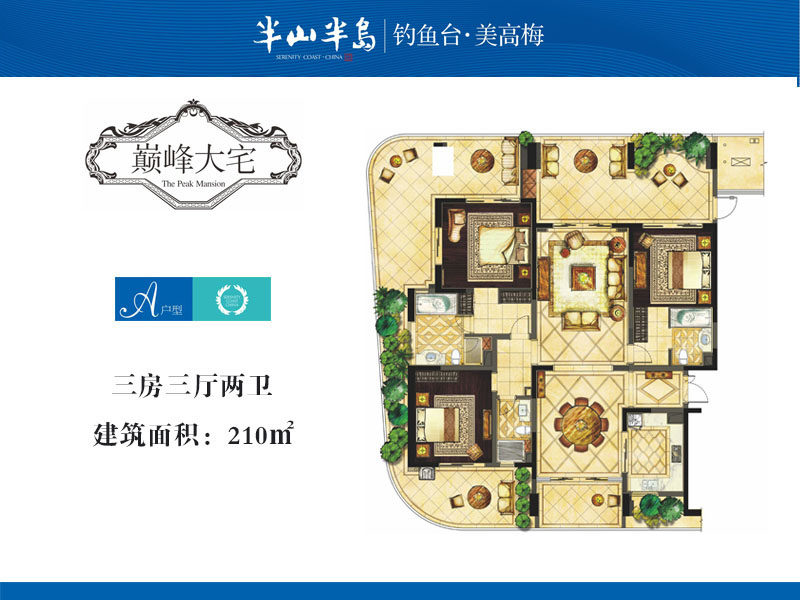 3室3厅2卫0厨 