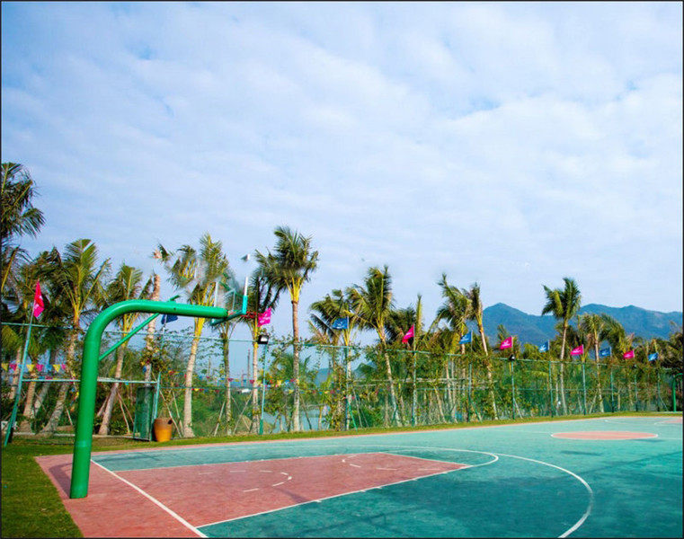 实景图
