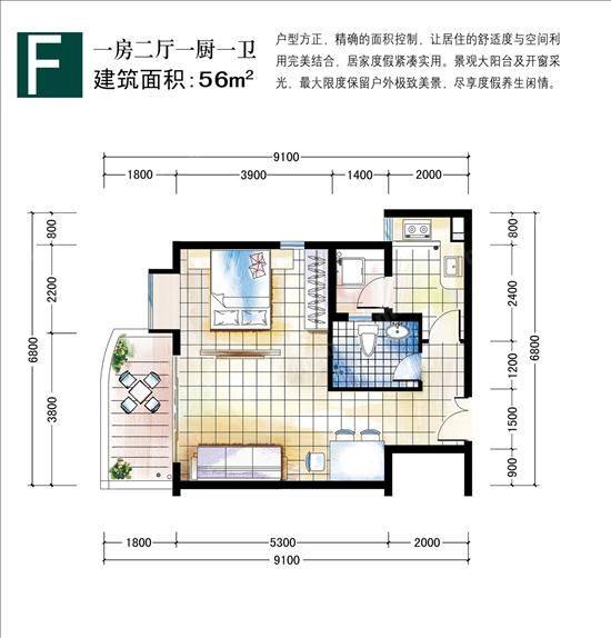 F户型