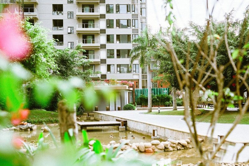 实景图