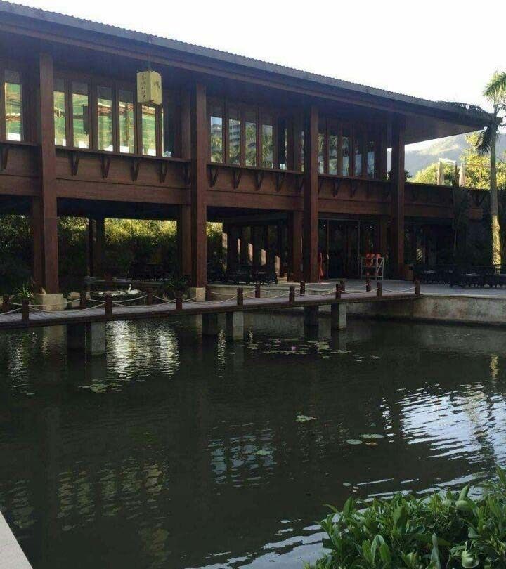 实景图