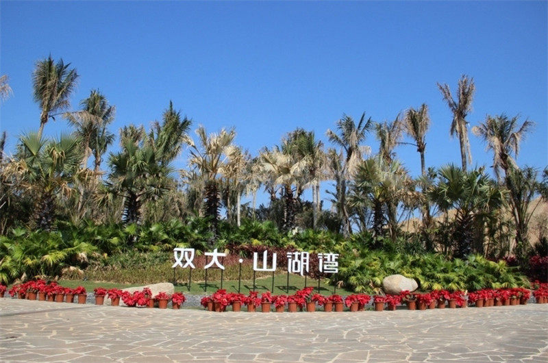 实景图