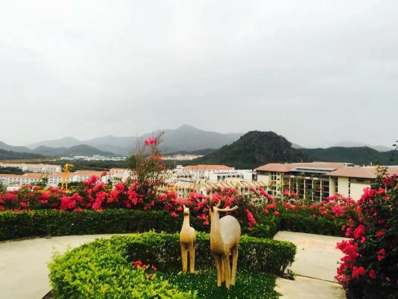 实景图