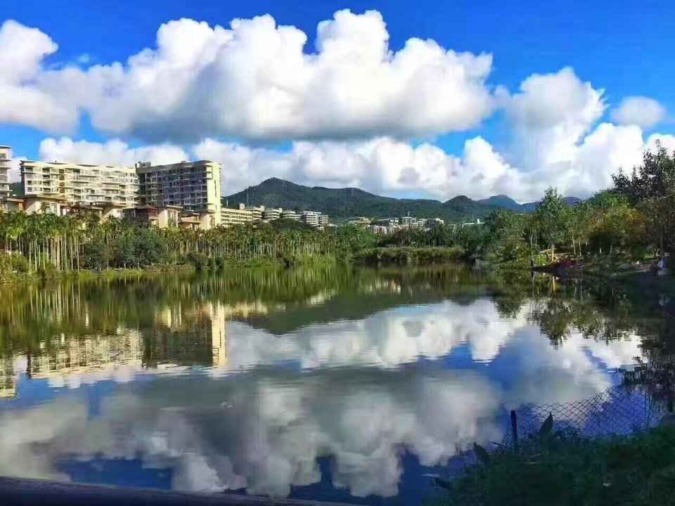 实景图