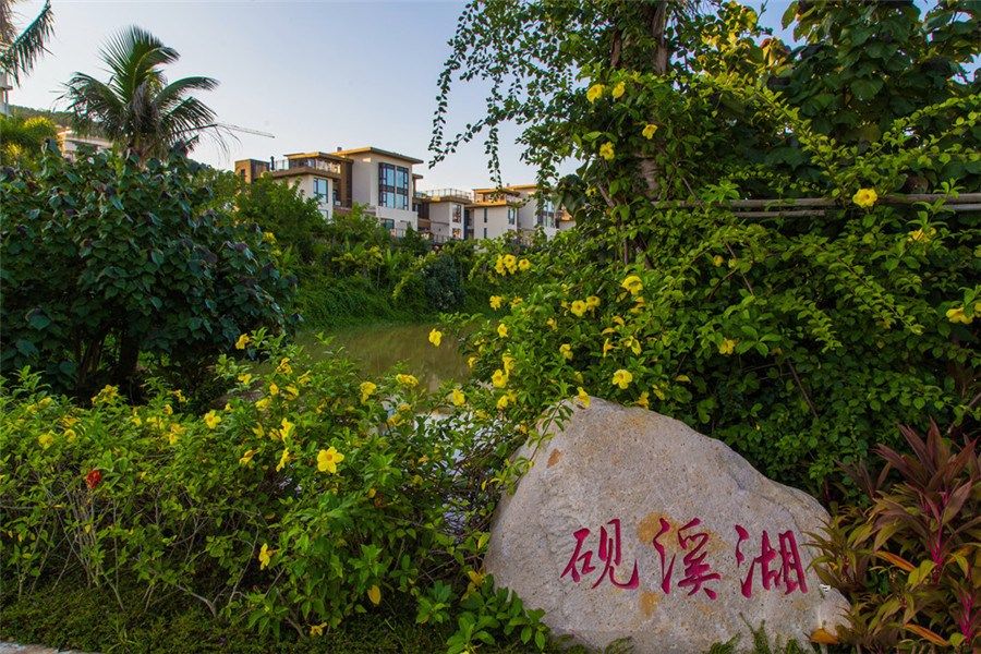 实景图