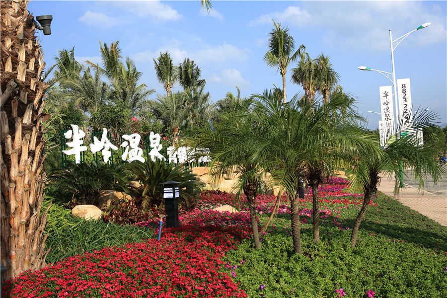 实景图