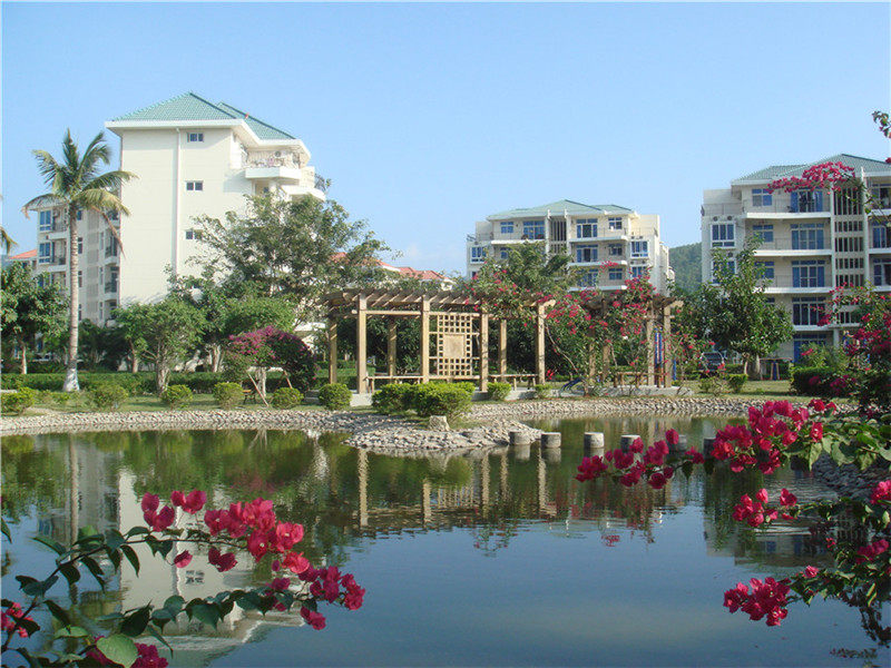 实景图