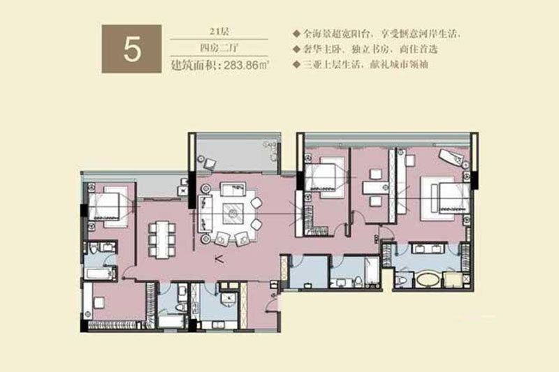 5户型21层