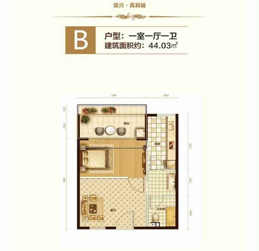 B户型