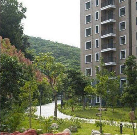 实景图