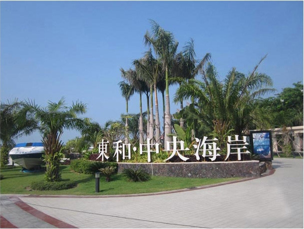 实景图