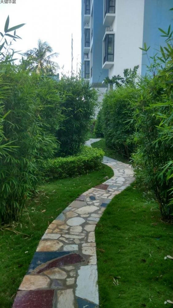 实景图