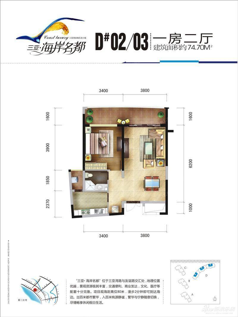 D#02/03户型