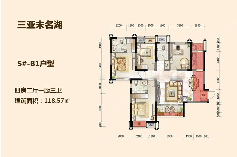 5#B1户型