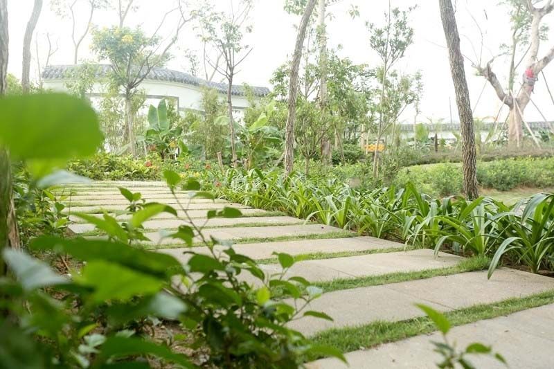 实景图