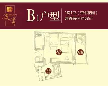 B1户型