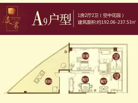 A9户型