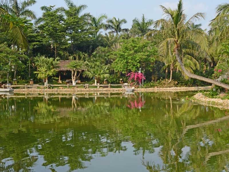 实景图