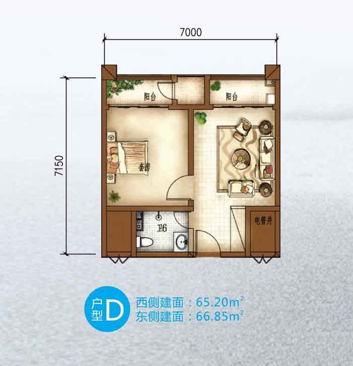D户型