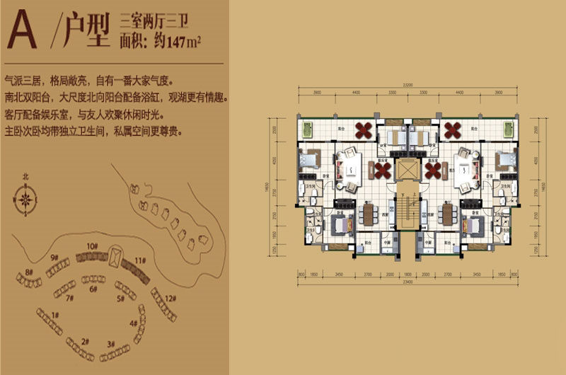 A户型