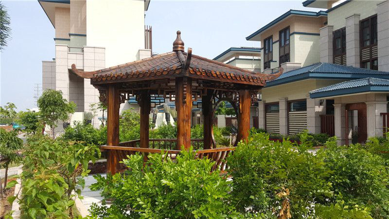 实景图