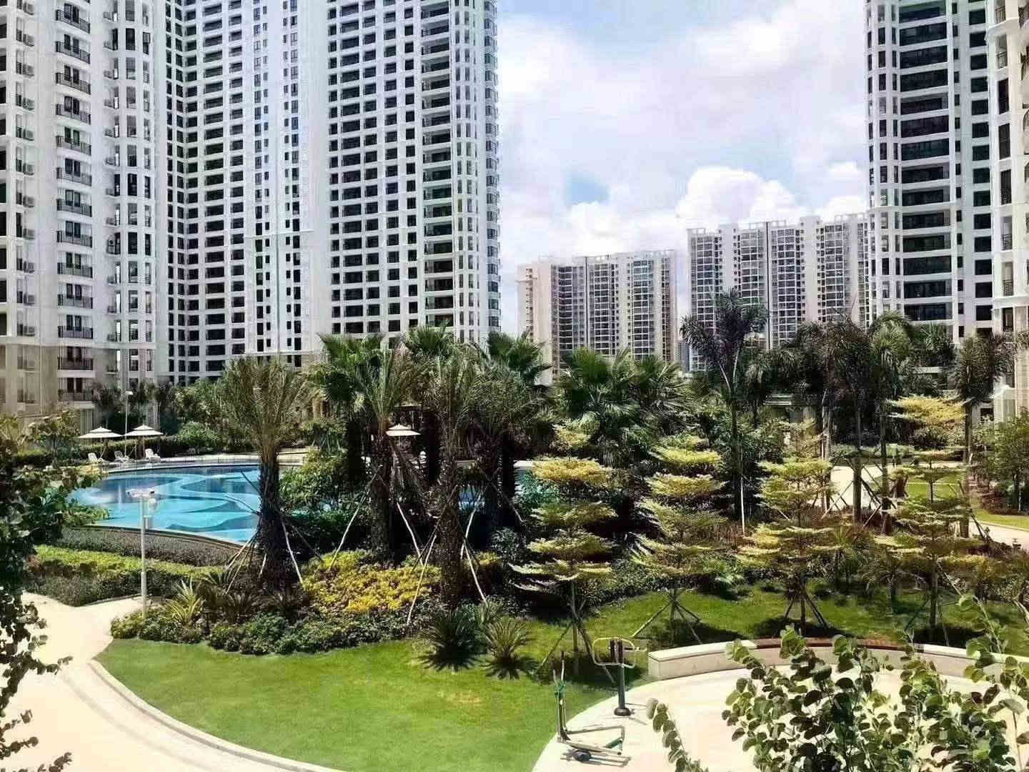 实景图