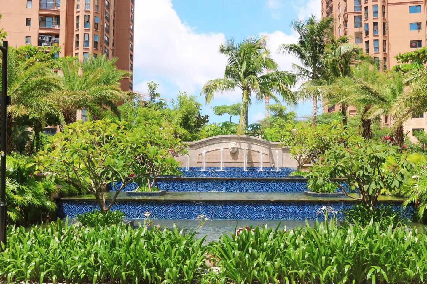 实景图