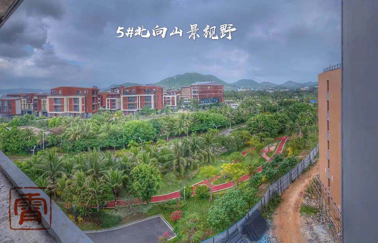 实景图