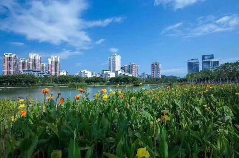 实景图