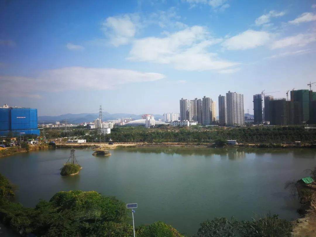 实景图