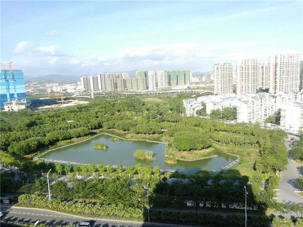 实景图