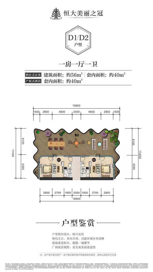 D1/D2户型