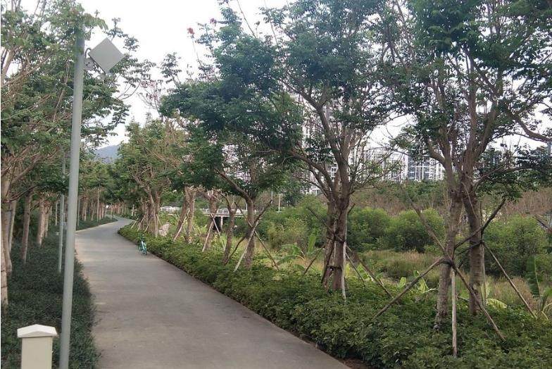 实景图