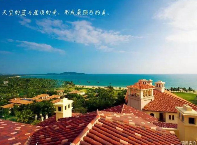 实景图