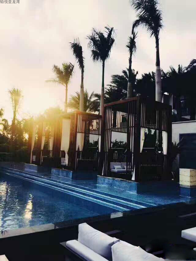 实景图