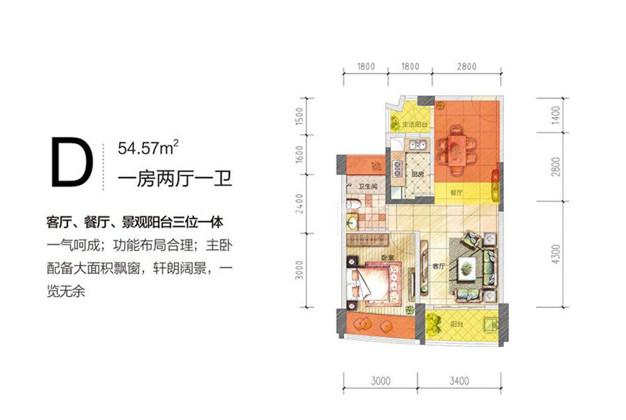 D户型