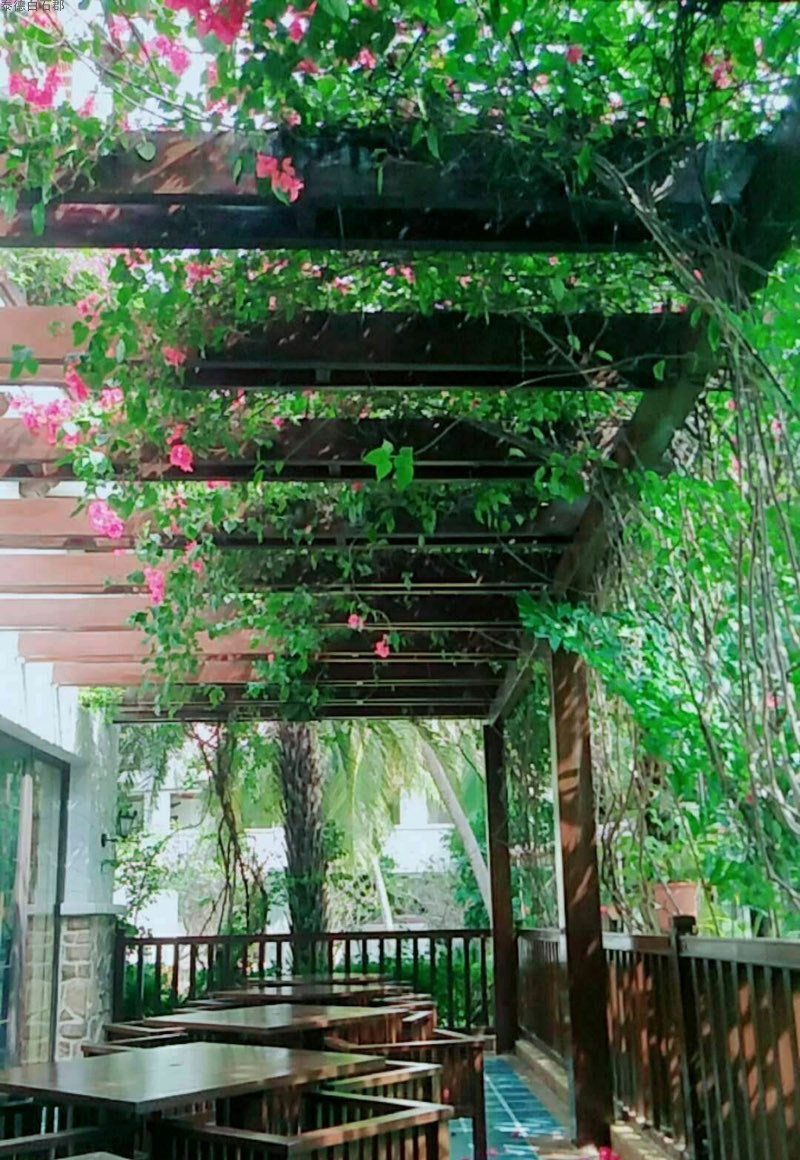 实景图