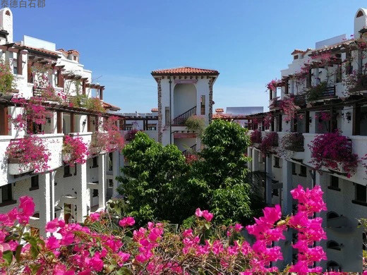 实景图