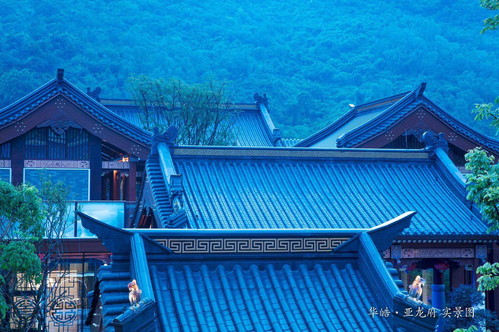 实景图