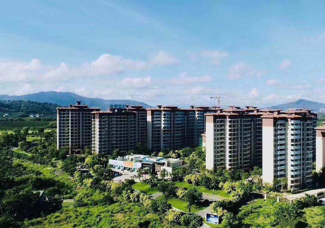 实景图