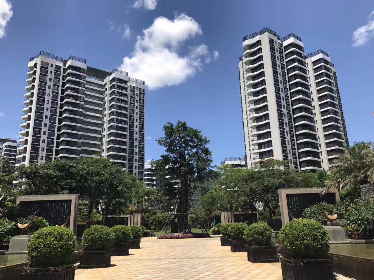 实景图