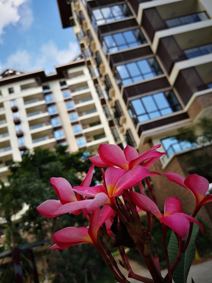 实景图