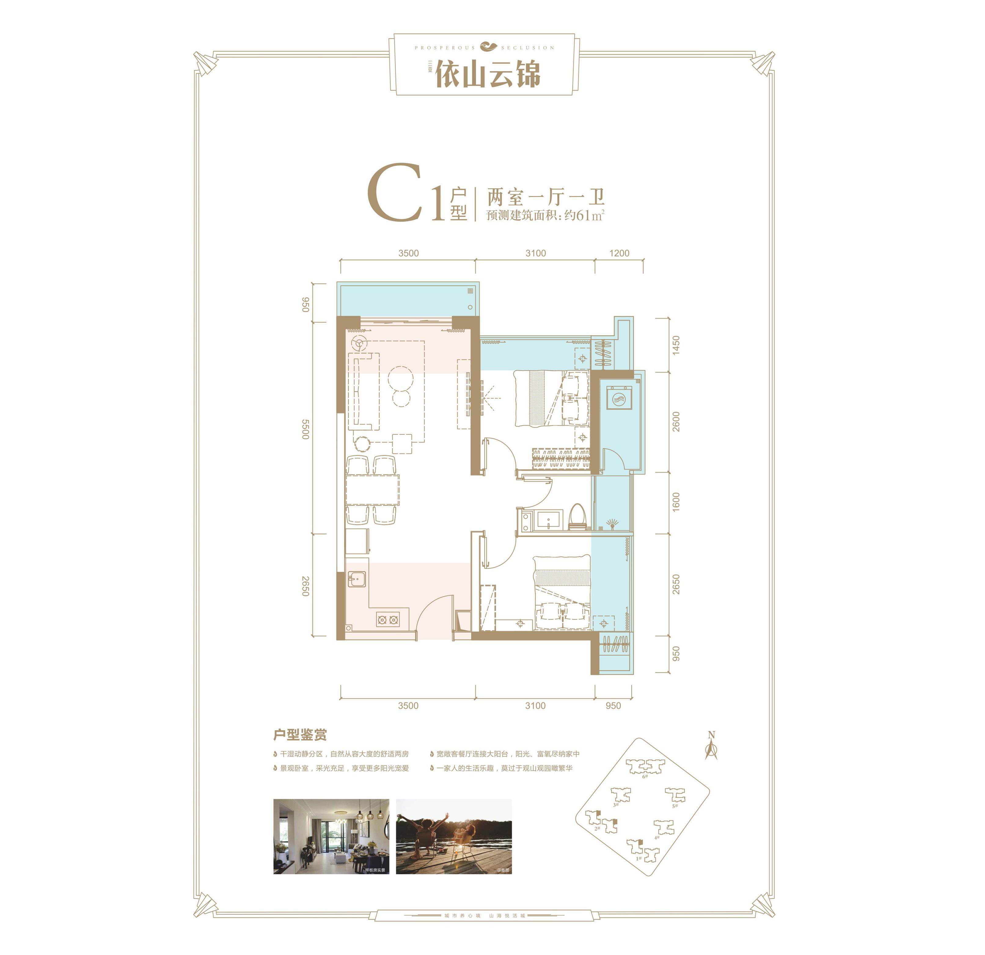 C1户型
