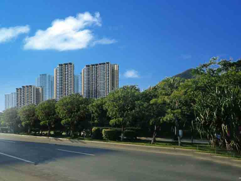 实景图