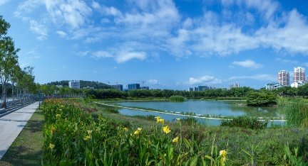 实景图