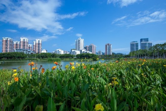 实景图