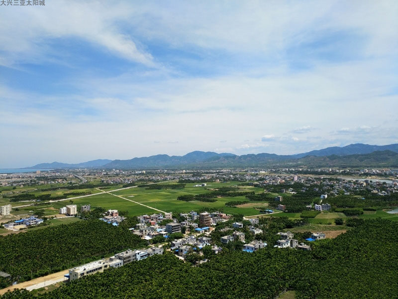 实景图