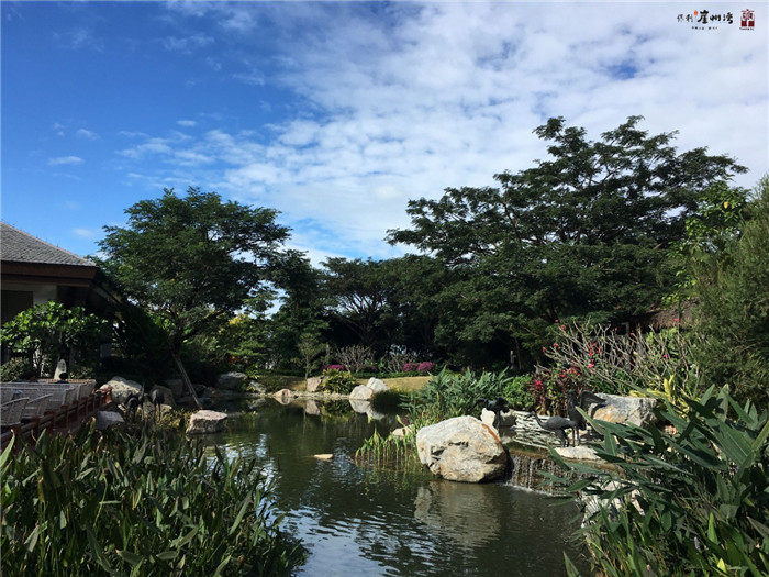 实景图