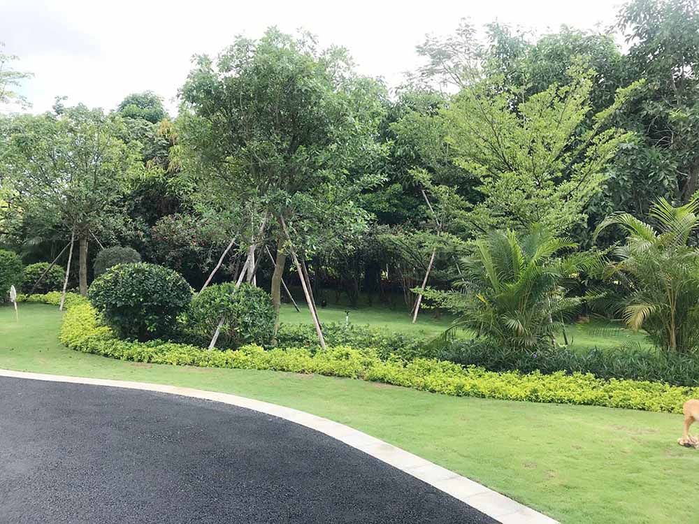 实景图