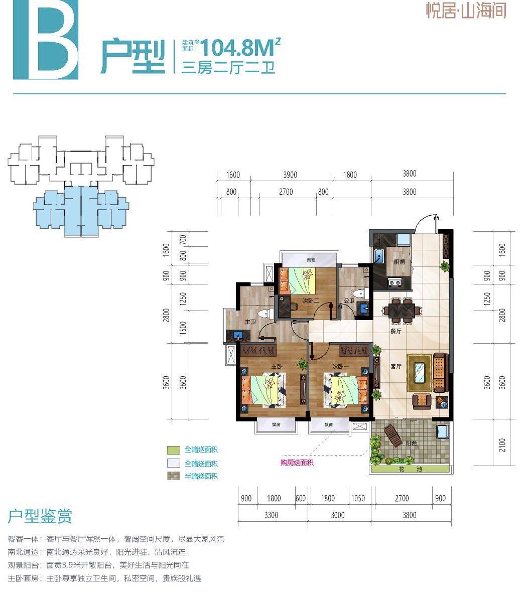B户型